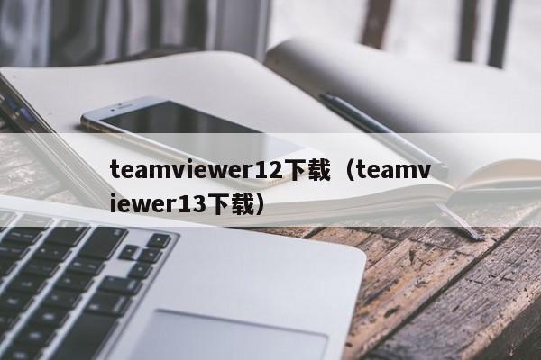 teamviewer12下载（teamviewer13下载）